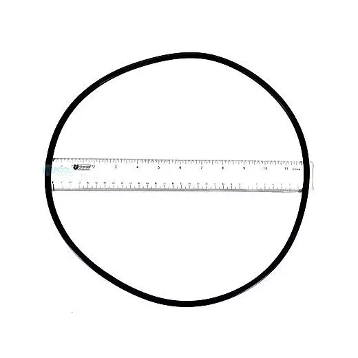 Zodiac Tank O-Ring | R0557900