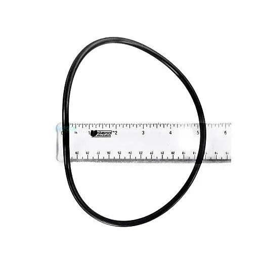 Zodiac Top Cap O-Ring | R0354600